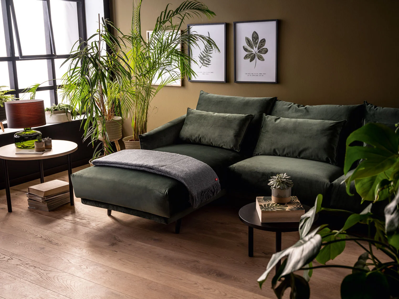Salon z ciemnozieloną sofą i licznymi palmami doniczkowymi
